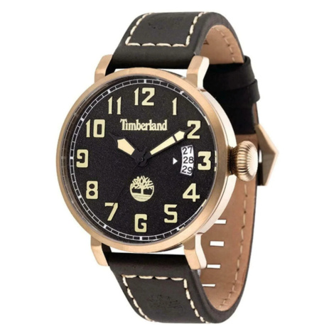 Pánske hodinky Timberland TBL.14861JSK/02 (zq005a)