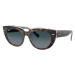 Ray-ban  Occhiali da Sole  Doreen RB2286 1413S3 Polarizzati  Slnečné okuliare Hnedá