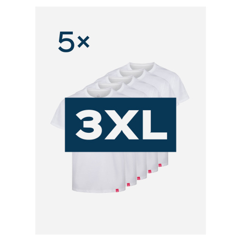 5pack pánskych bielych tričiek AGEN - 3XL
