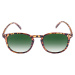 Sunglasses Arthur Youth havanna/green