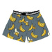 HORSEFEATHERS Trenírky Frazier - bananas GRAY