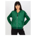 TMAVOZELENÁ PREŠÍVANÁ BOMBER MIKINA RV-BL-8225.88-DARK GREEN