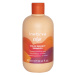 Šampón na ochranu farby vlasov Inebrya Color Perfect Shampoo - 300 ml (771026287) + darček zadar