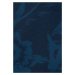 CHIEMSEE Plavecké šortky  námornícka modrá