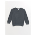 LC Waikiki Crew Neck Long Sleeve Baby Boy Knitwear Sweater