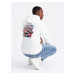 Ombre Men's hooded sweatshirt