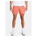 Under Armour Men's Shorts UA M's Ch. Pro Woven Short - Men's