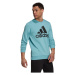 Adidas Essentials Big Logo mikina M H12163 muži