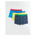 LC Waikiki Printed Cotton Boy's Boxer Set of 3