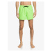 Quiksilver - šortky B EVERYDAY VOLLEY 15 green gecko