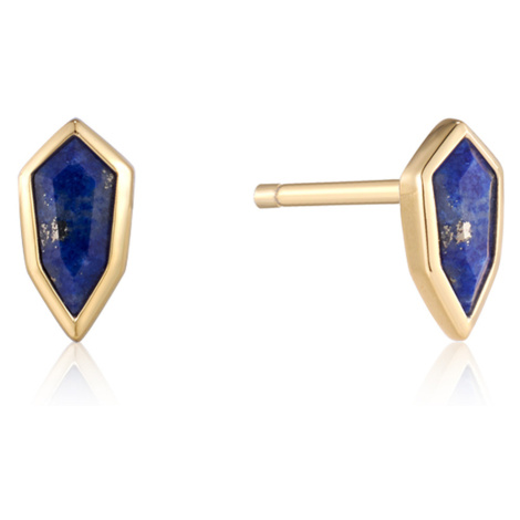 Ania Haie E042-01G-L Earrings - Second Nature