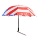 Jucad Umbrella with Pin USA