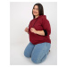 Women's chestnut sweatshirt plus size with inscription