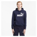 Puma Essential Big Logo Hoodie TR M 586688 06 mikina s kapucňou