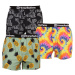 3PACK men's briefs Horsefeathers Frazier