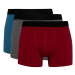 DEFACTO Regular Fit 3-pack Boxer