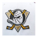 47 Brand Šiltovka NHL Anaheim Ducks Replica Cold Zone '47 MVP DP H-CLZRP25WBP-PJA Fialová