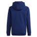 Adidas Tiro 23 League Sweat Hoodie Jr HS3605