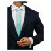 Mátová pánská elegantní kravata Bolf K001