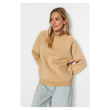 Trendyol Mink Relaxed/Comfortable fit Basic Raglan Sleeve Crew Neck Knitted Sweatshirt