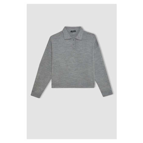 DEFACTO Cool Regular Fit Polo Neck Sweater