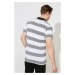 Trendyol White Men's Regular Fit Striped Short Sleeve Polo Neck T-shirt