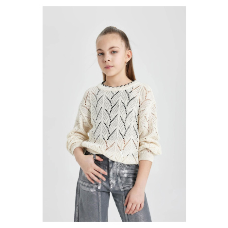 DEFACTO Girl's Crew Neck Openwork Sweater