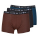 DIM  COTON STRETCH PACK X3  Boxerky Viacfarebná