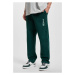 Men's Jogginghose sweatpants green