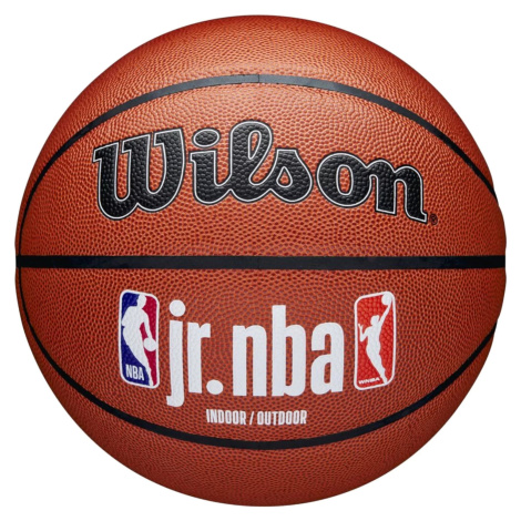 WILSON JR NBA FAM LOGO IN/OUT BALL WZ2009801XB