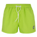 Men's Beach Shorts ATLANTIC - green