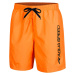 AQUA SPEED Man's Swimming Shorts OWEN