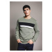 DEFACTO Regular Fit Crew Neck Sweatshirt