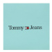 Tommy Jeans Kabelka Tjw Essential Pu Camera Bag AW0AW14120 Modrá