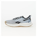 Tenisky Reebok Floatride Energy 5 Adventure Pure Grey 3/ Feegoo/ Black