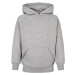 Boys Blank Hoody grey