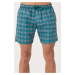 AC&Co / Altınyıldız Classics Men's Green Standard Fit Casual Patterned Quick Drying Swimsuit Swi