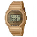 Casio DWE-5600HG-1