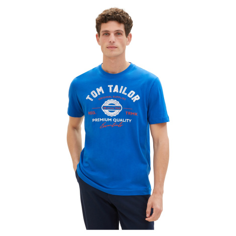 Tom Tailor Pánske tričko Regular Fit 1037735.12393 L