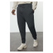 Trendyol Anthracite Regular/Normal Cut Basic Plus Size Sweatpants