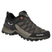 Salewa Mtn Trainer Lite Gtx