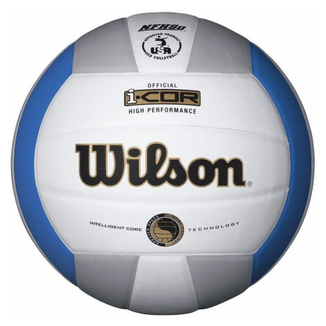 Wilson I-Cor High Performance Volleyball