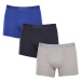 3PACK pánske boxerky Levis viacfarebné (905045001 022)