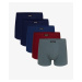 Men's Boxer Shorts ATLANTIC 5Pack - Multicolored