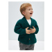 LC Waikiki LCW Shawl Collar Basic Baby Boy Knitwear Cardigan