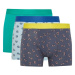 DEFACTO Regular Fit 3-Piece Boxer