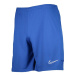 Pánske šortky Dry Academy 21 M CW6107-480 - Nike