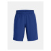 Under Armour Boys' shorts UA Tech Woven Wordmark Short - Boys