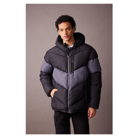 DEFACTO Water Repellent Regular Fit Hooded Zippered Double Pocket Puffer Jacket