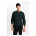 DEFACTO Standard Fit Crew Neck Sweater